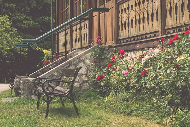 仅展现了 仅展现了