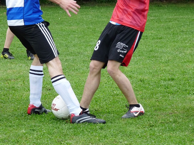 这一转会对 这一转会对