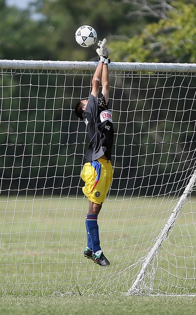 同地区的物 同地区的物